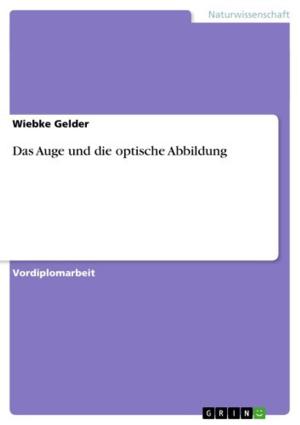 Cover of the book Das Auge und die optische Abbildung by Antje-Catrin Loose