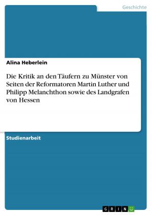Cover of the book Die Kritik an den Täufern zu Münster von Seiten der Reformatoren Martin Luther und Philipp Melanchthon sowie des Landgrafen von Hessen by Armin Baumgärtner