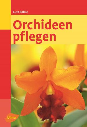 Cover of the book Orchideen pflegen by Franz Schmaunz