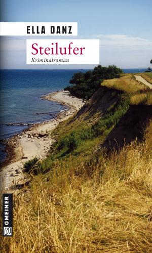 Book cover of Steilufer