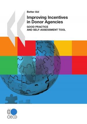 Cover of the book Improving Incentives in Donor Agencies (First Edition) by Collective