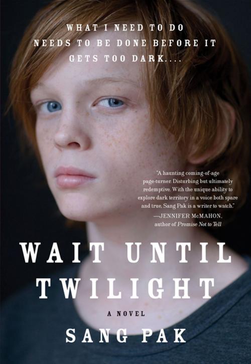 Cover of the book Wait Until Twilight by Sang Pak, HarperCollins e-books