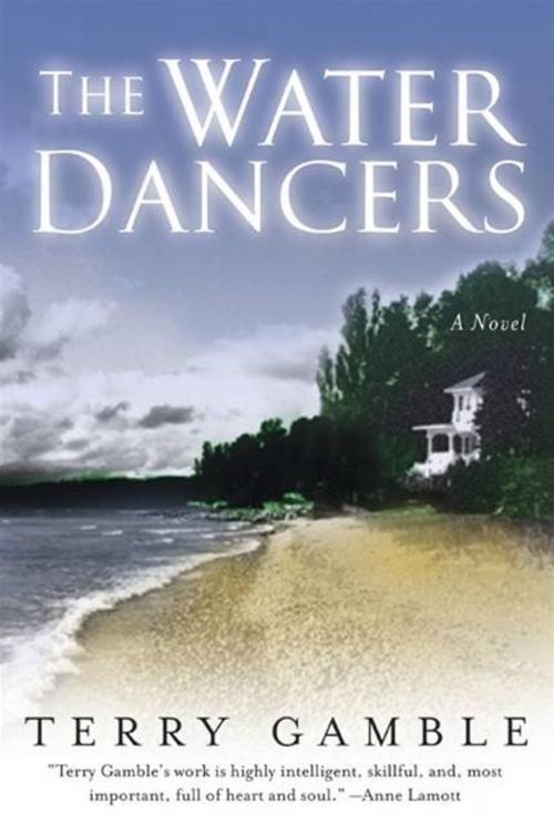 Cover of the book The Water Dancers by Ms. Terry Gamble, HarperCollins e-books
