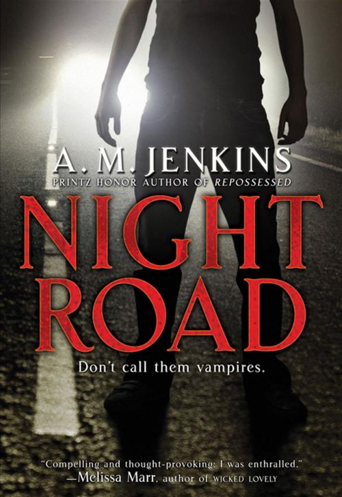 Cover of the book Night Road by A. M. Jenkins, HarperTeen