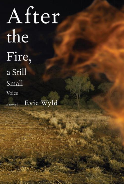 Cover of the book After the Fire, a Still Small Voice by Evie Wyld, Knopf Doubleday Publishing Group