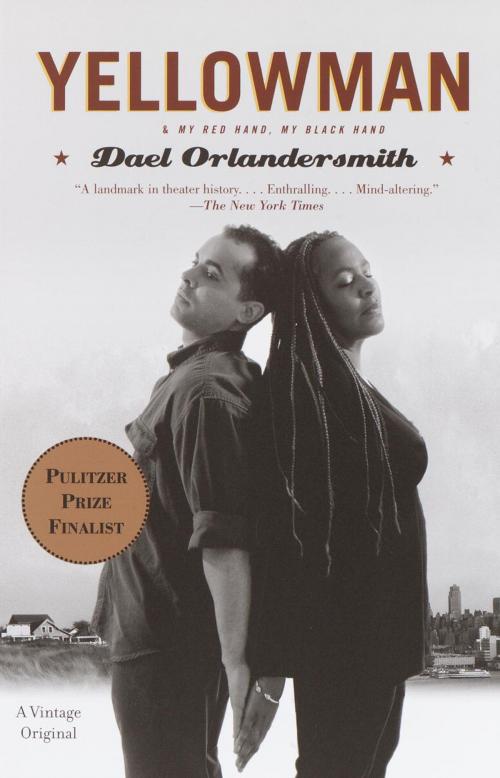 Cover of the book Yellowman by Dael Orlandersmith, Knopf Doubleday Publishing Group