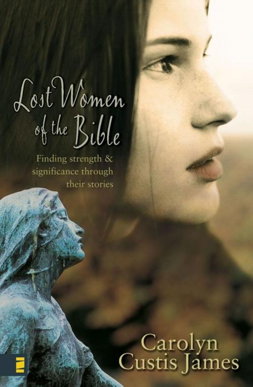 Cover of the book Lost Women of the Bible by Carolyn Custis James, Zondervan