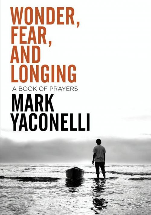Cover of the book Wonder, Fear, and Longing, eBook by Mark Yaconelli, Zondervan/Youth Specialties