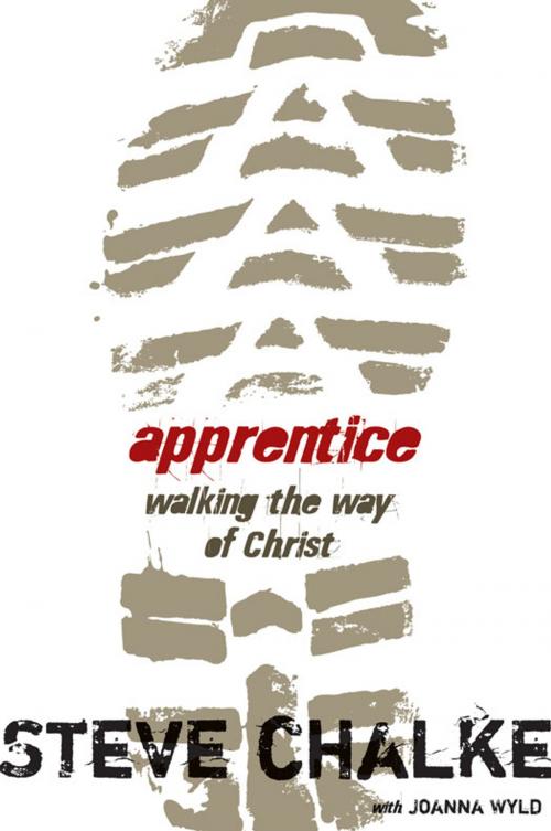 Cover of the book Apprentice Participant's Guide by Steve Chalke, Zondervan