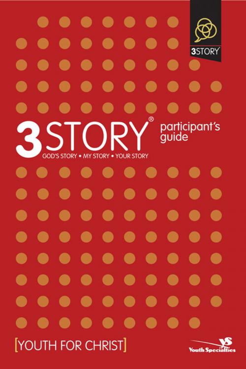 Cover of the book 3Story Participant's Guide by Dave Rahn, Zondervan
