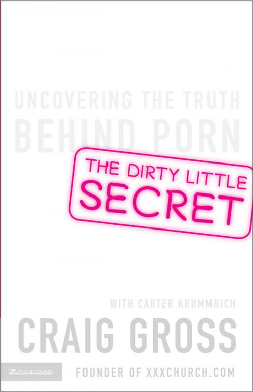 Cover of the book The Dirty Little Secret by Craig Gross, Zondervan