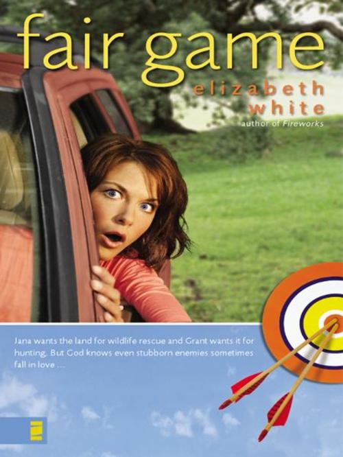 Cover of the book Fair Game by Elizabeth White, Zondervan