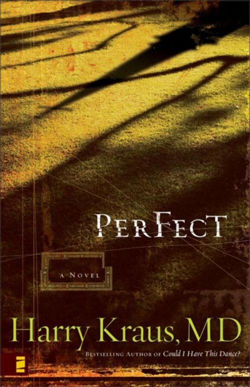 Cover of the book Perfect by Harry Kraus, Zondervan