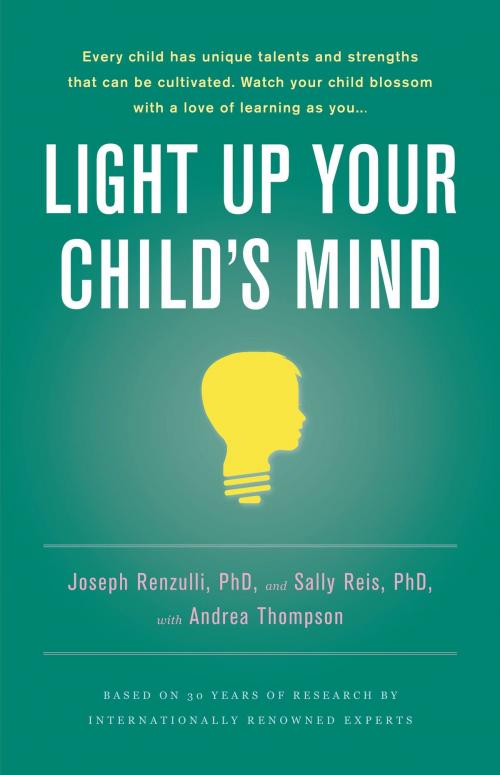 Cover of the book Light Up Your Child's Mind by Joseph S. Renzulli, Sally M. Reis, Little, Brown and Company