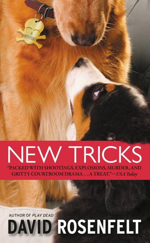 Cover of the book New Tricks by David Rosenfelt, Grand Central Publishing