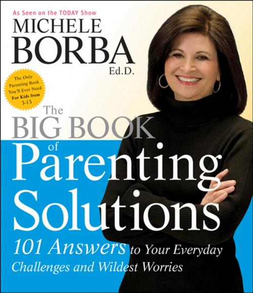 Cover of the book The Big Book of Parenting Solutions by Michele Borba, Wiley