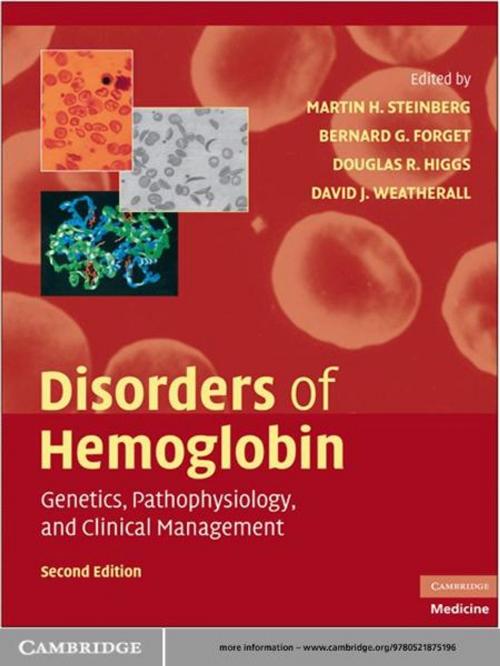 Cover of the book Disorders of Hemoglobin by Martin H. Steinberg, Bernard G. Forget, Douglas R. Higgs, David J. Weatherall, Cambridge University Press