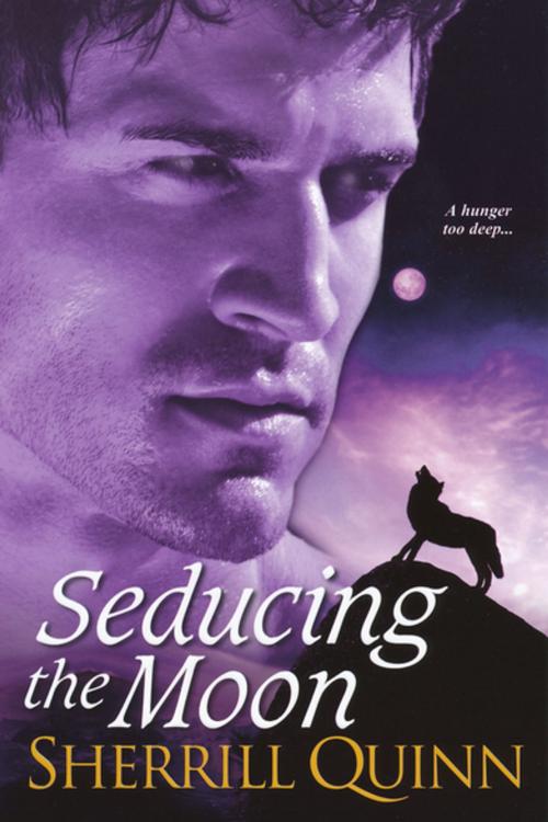 Cover of the book Seducing the Moon by Sherrill Quinn, Kensington Books