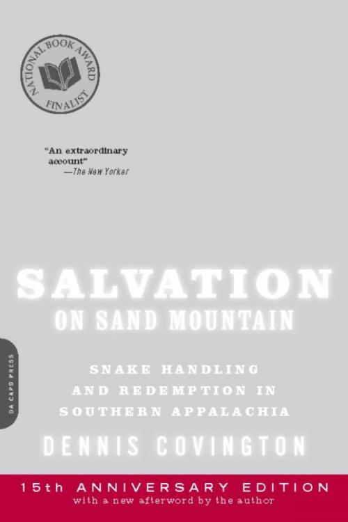Cover of the book Salvation on Sand Mountain by Dennis Covington, Hachette Books