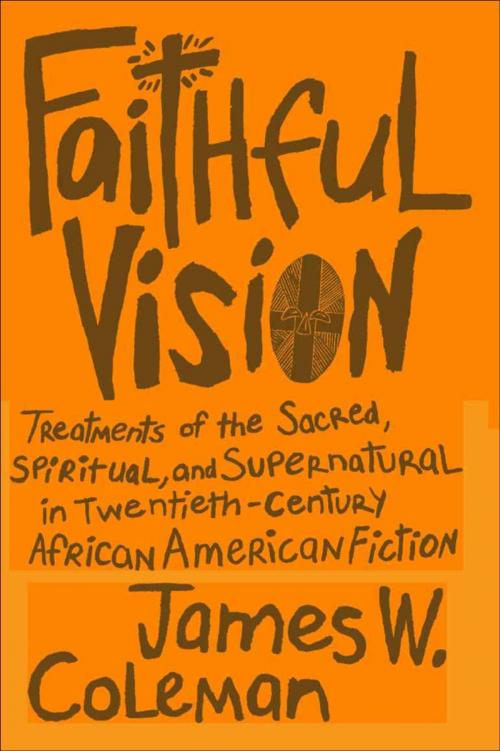 Cover of the book Faithful Vision by James W. Coleman, LSU Press