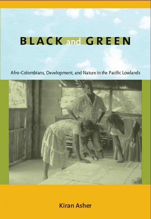 Cover of the book Black and Green by Kiran Asher, Duke University Press