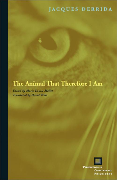 Cover of the book The Animal That Therefore I Am by Jacques Derrida, Fordham University Press