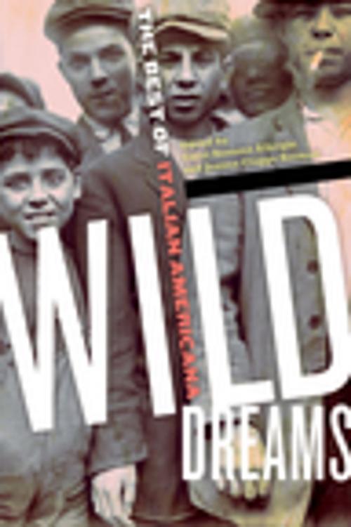 Cover of the book Wild Dreams by , Fordham University Press