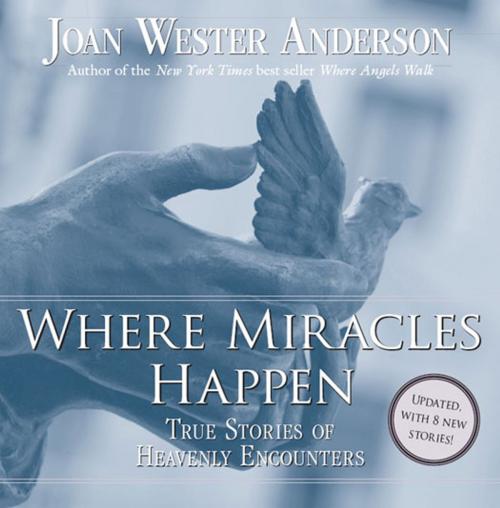 Cover of the book Where Miracles Happen by Joan Wester Anderson, Loyola Press