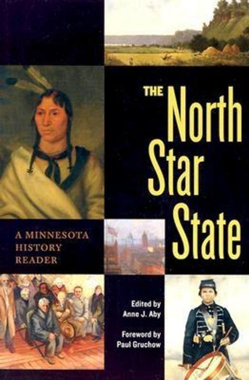 Cover of the book The North Star State by , Minnesota Historical Society Press