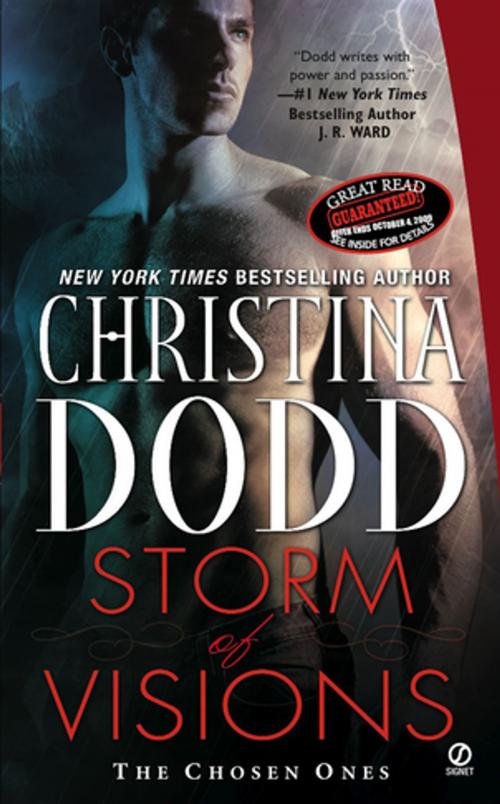 Cover of the book Storm of Visions by Christina Dodd, Penguin Publishing Group