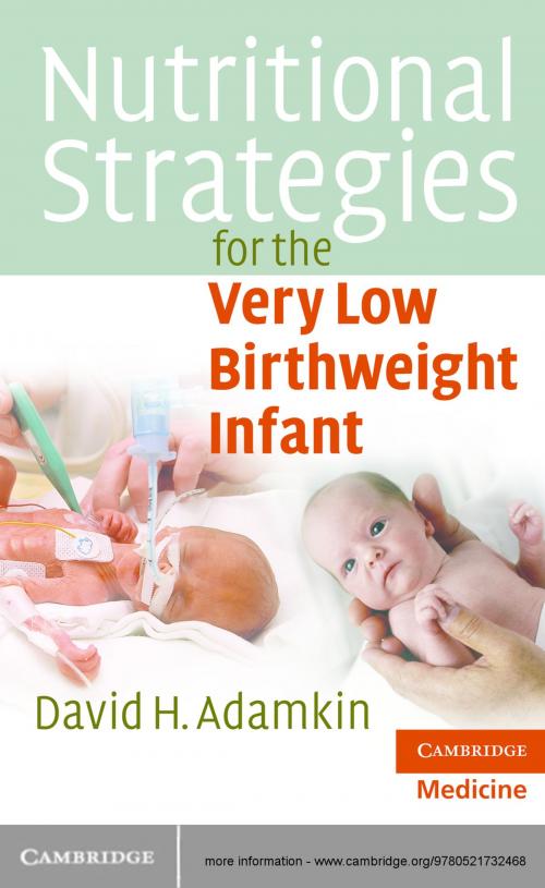 Cover of the book Nutritional Strategies for the Very Low Birthweight Infant by David H. Adamkin, MD, Cambridge University Press