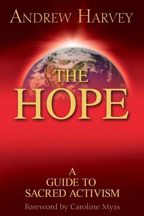 Cover of the book The Hope by Andrew Harvey, Seymour Bernstein, Hay House