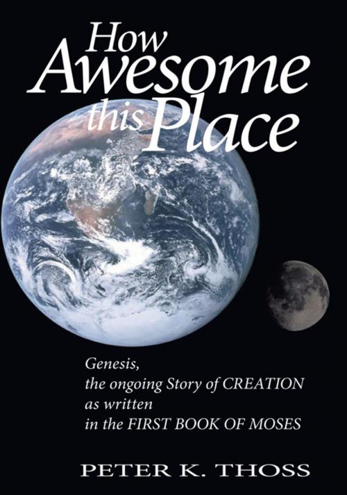 Cover of the book How Awesome This Place by Peter K. Thoss, Trafford Publishing