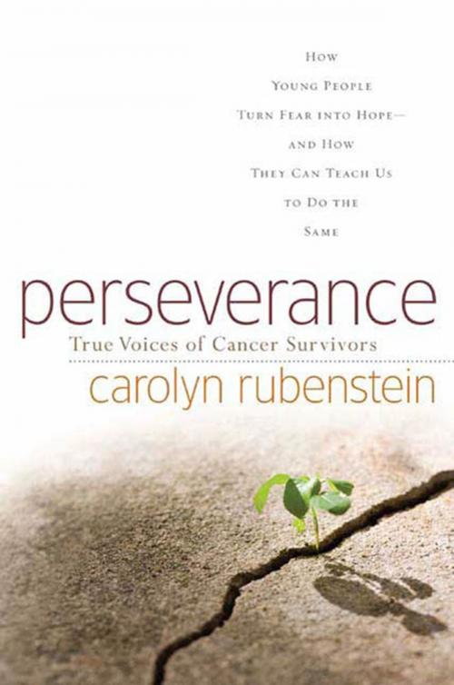 Cover of the book Perseverance by Carolyn Rubenstein, Tom Doherty Associates