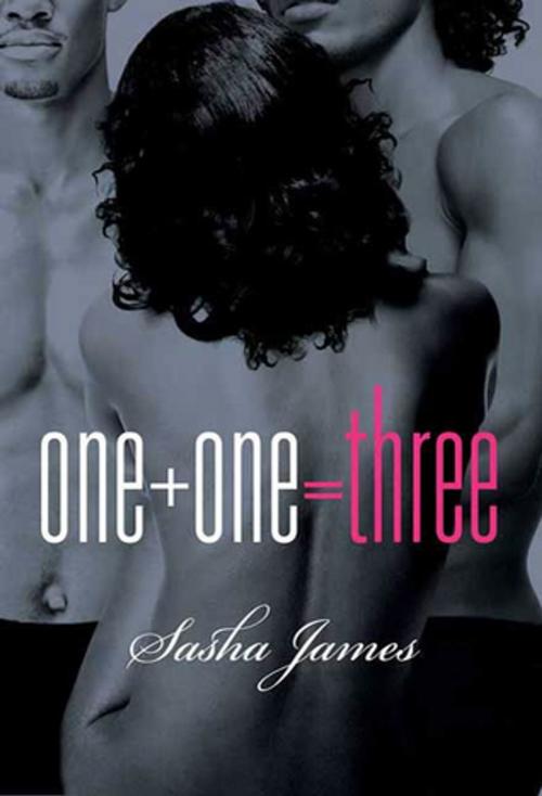 Cover of the book One + One = Three by Sasha James, St. Martin's Press