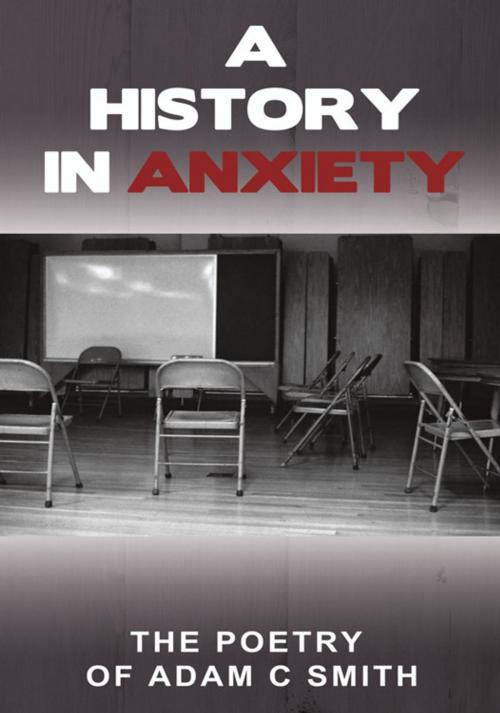 Cover of the book A History in Anxiety by Adam C Smith, iUniverse