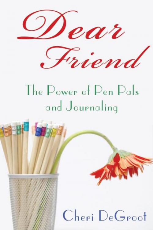 Cover of the book Dear Friend by Cheri DeGroot, iUniverse