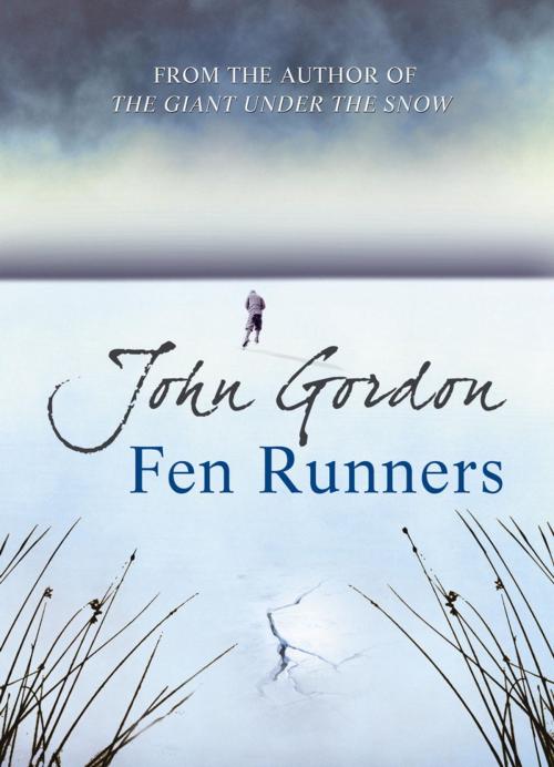 Cover of the book Fen Runners by John Gordon, Hachette Children's