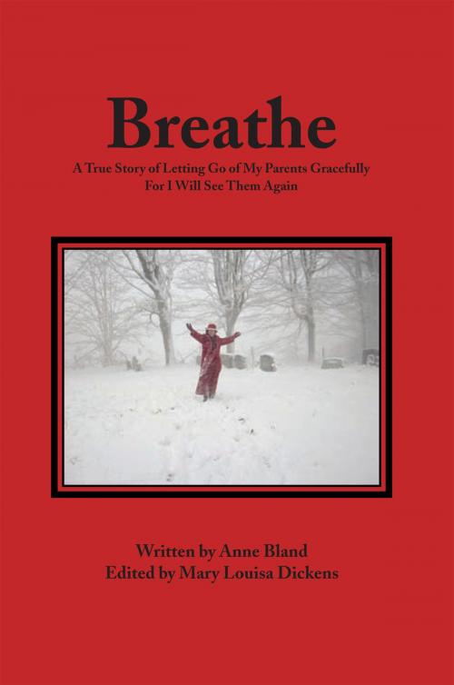 Cover of the book Breathe by Anne Bland, Xlibris US