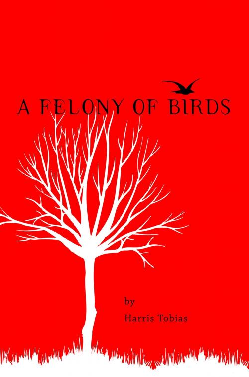 Cover of the book A Felony of Birds by Harris Tobias, Harris Tobias