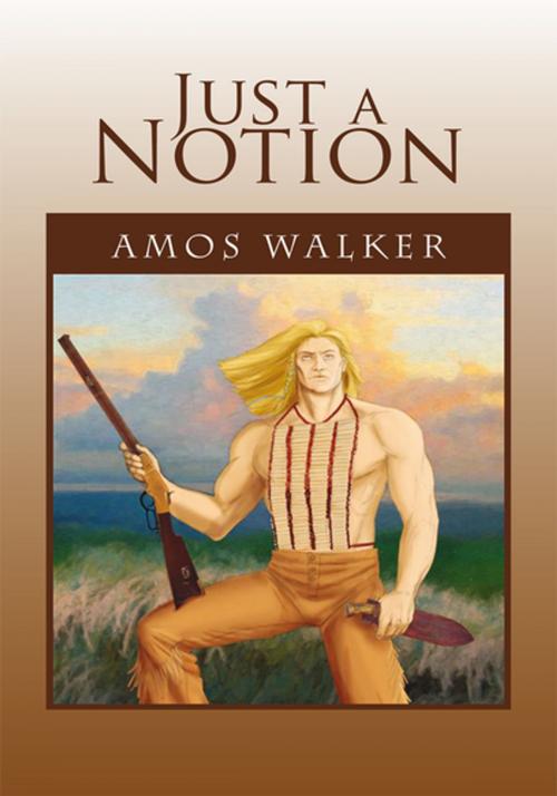 Cover of the book Just a Notion by Amos Walker, Xlibris US