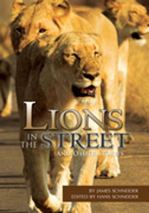 Cover of the book Lions in the Street by Hans Schneider, James Schneider, Xlibris US