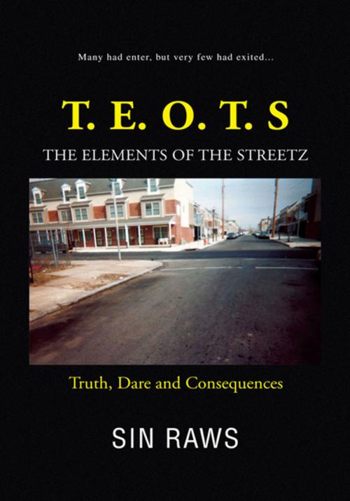 Cover of the book The Elements of the Streetz by Sin Raws, Xlibris US