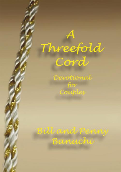Cover of the book A Threefold Cord by Bill Banuchi, Penny Banuchi, Xlibris US