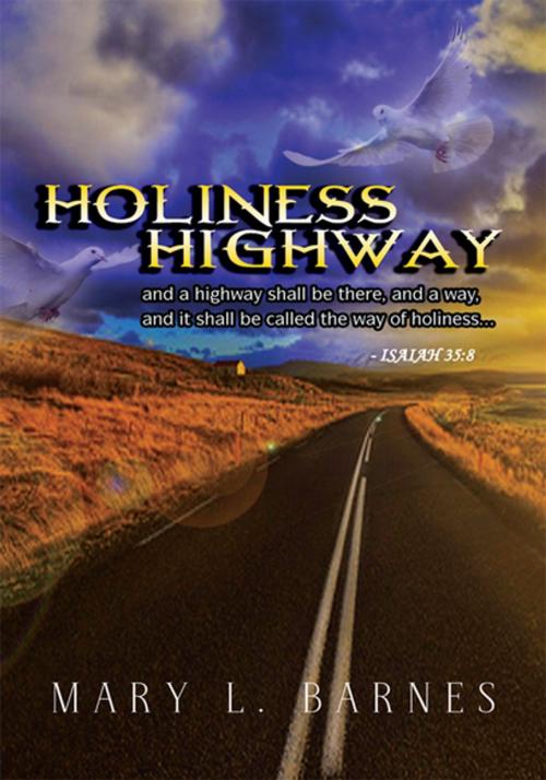 Cover of the book Holiness Highway by Mary L. Barnes, Xlibris US