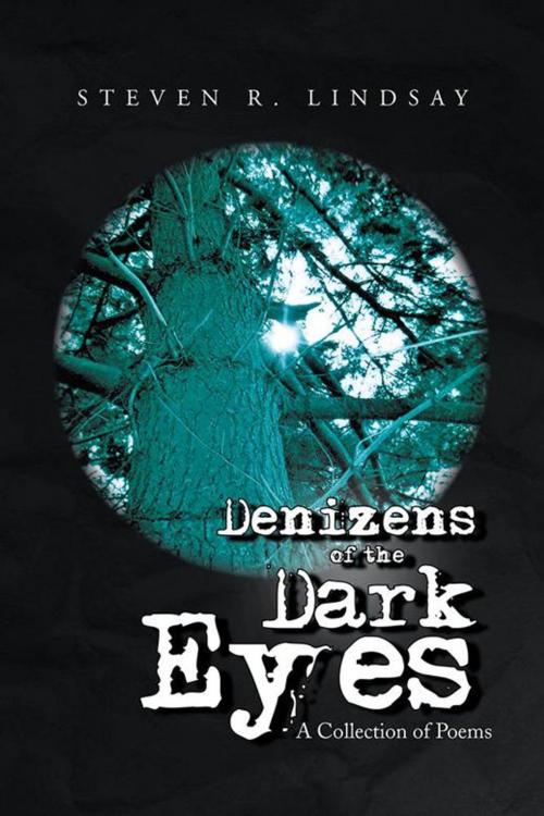 Cover of the book Denizens of the Dark Eyes by Steven Lindsay, Xlibris US