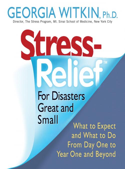 Cover of the book Stress Relief for Disasters Great and Small by Georgia Witkin PhD, Newmarket Press