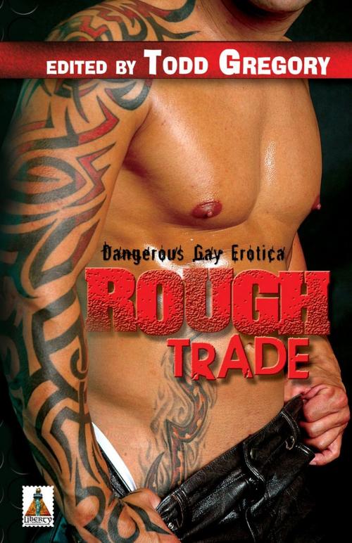 Cover of the book Rough Trade: Dangerous Gay Erotica by , Bold Strokes Books