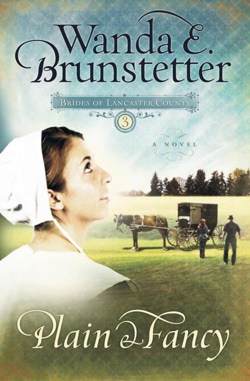 Cover of the book Plain and Fancy by Wanda E. Brunstetter, Barbour Publishing, Inc.