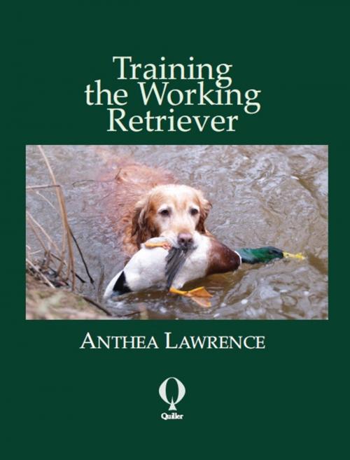 Cover of the book Training the Working Retriever by Anthea Lawrence, Quiller